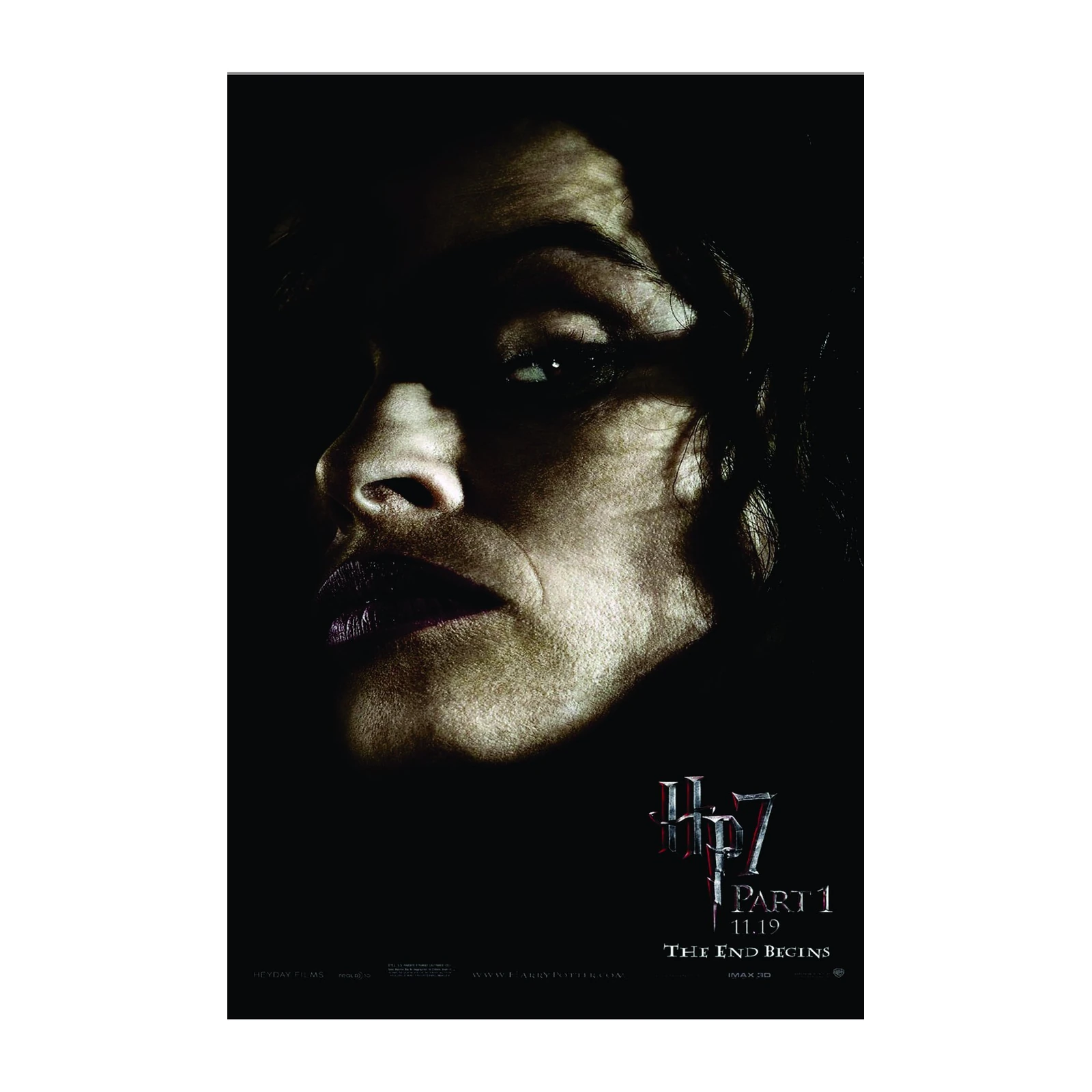 Mysterious Portrait Harry Potter Wall Art
