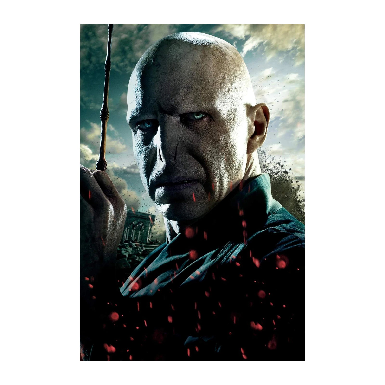 Lord Voldemort The Dark Lord Wall Art