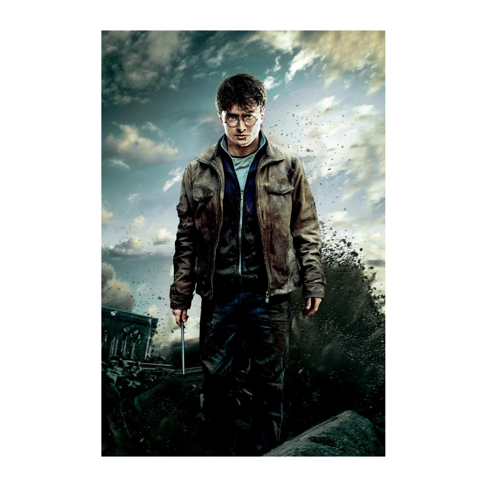 Harry Potter Dark Vengeance Wall Art