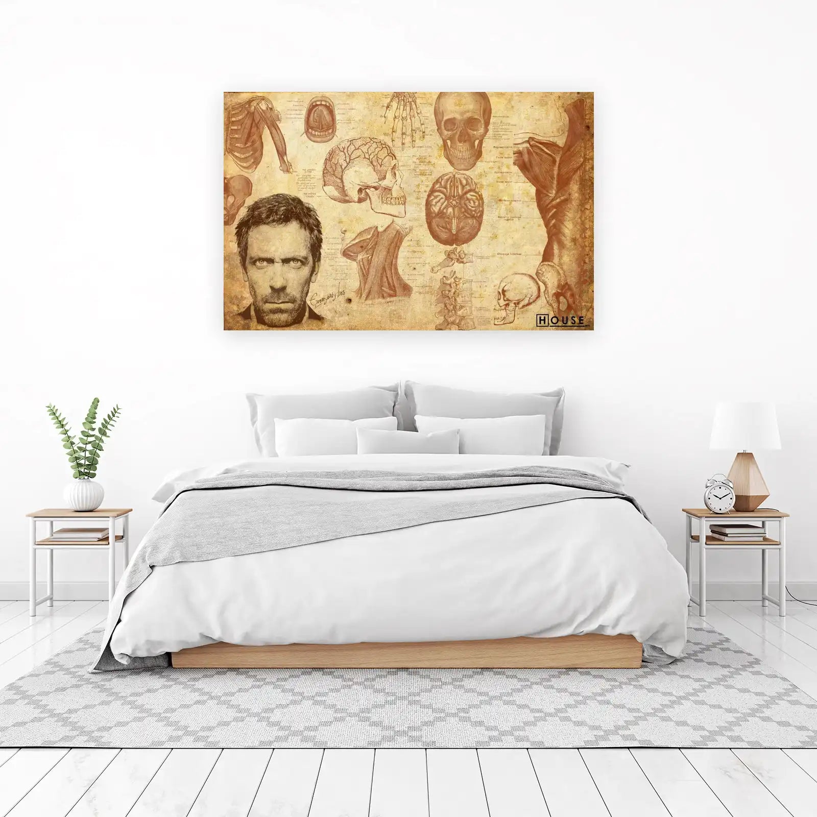 Vintage Anatomy Medical Art Wall Art
