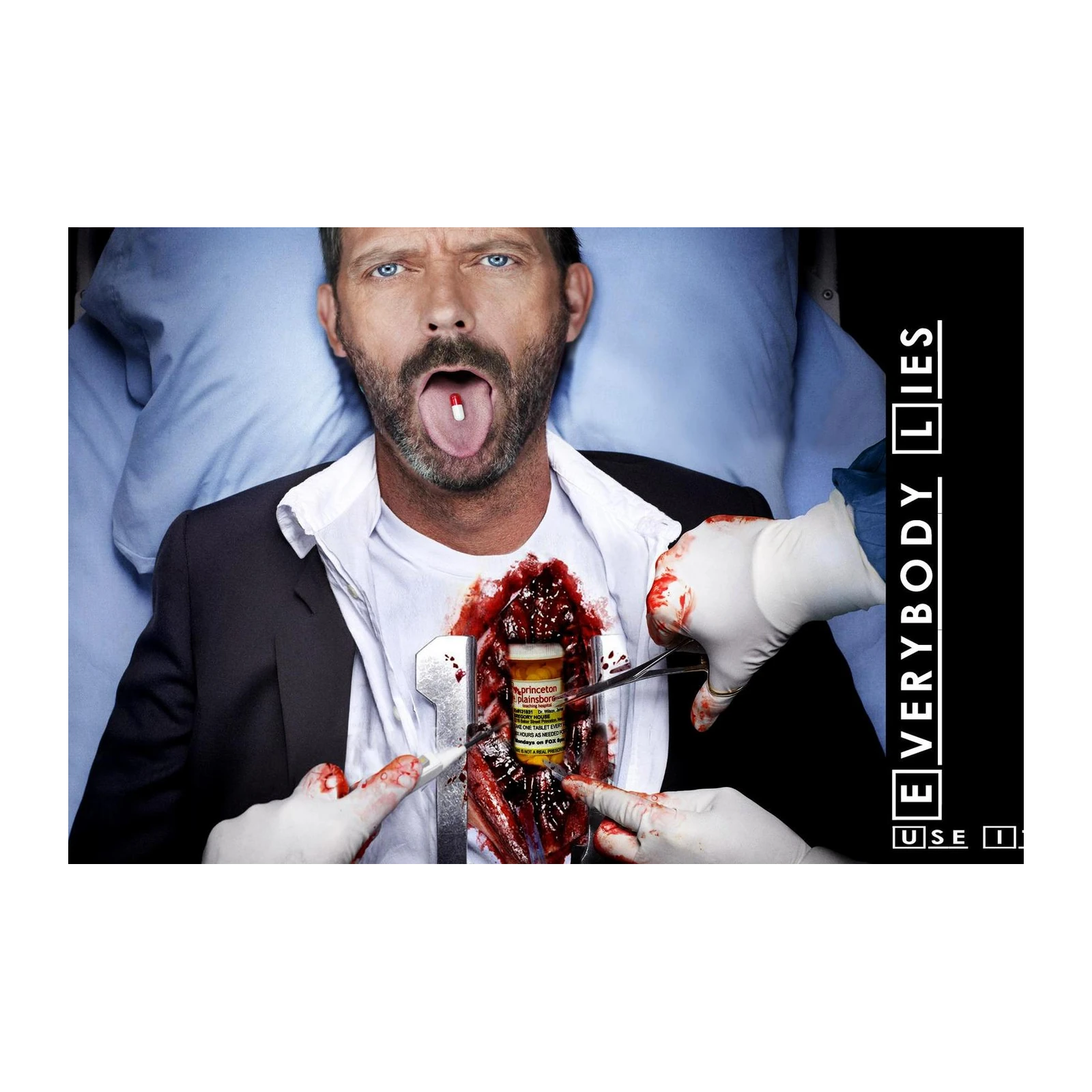 House M.D. Medical Drama Poster Wall Art