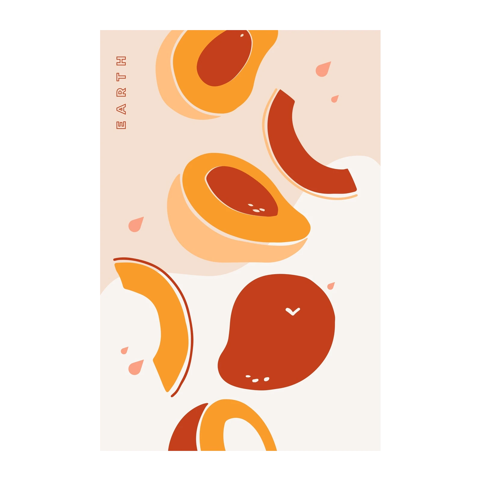 Abstract Fruit Slice & Mango Wall Art