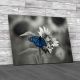 Butterfly On Flower Canvas Print Large Picture Wall Art