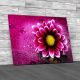 Fresh Floral Flower Canvas Print Large Picture Wall Art