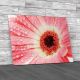 Floral Flower Gerbera Canvas Print Large Picture Wall Art