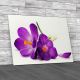 Floral Flowers Crocus Canvas Print Large Picture Wall Art