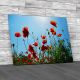 Poppy Field Flowers Canvas Print Large Picture Wall Art