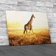 West African Giraffe Canvas Print Large Picture Wall Art