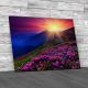 Flowering Hills Sunset Canvas Print Large Picture Wall Art