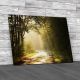 Misty Foggy Dirt Road Canvas Print Large Picture Wall Art