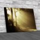 Heavenly Light In Tress Canvas Print Large Picture Wall Art