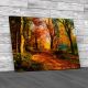 Tree and Walkway Canvas Print Large Picture Wall Art