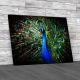 Lovely Peacock Design Canvas Print Large Picture Wall Art