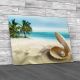 Oyster n Pearl on Beach Canvas Print Large Picture Wall Art