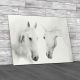 Lovely Couple of Horses Canvas Print Large Picture Wall Art