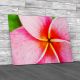 Flower Floral Tropical Canvas Print Large Picture Wall Art