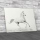 Running Stallion Horse Canvas Print Large Picture Wall Art