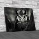 Stunning Staring Owl Canvas Print Large Picture Wall Art