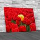 Lone Tulip Floral Flower Canvas Print Large Picture Wall Art