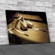 Ballet Dance Shoes Canvas Print Large Picture Wall Art