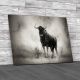 Blue Wildebeest in Rain Canvas Print Large Picture Wall Art