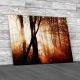 Shining Through Trees Canvas Print Large Picture Wall Art