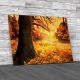 Fields of Tree Leaves Canvas Print Large Picture Wall Art