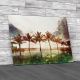 Vintage Palm Tree Sketch Canvas Print Large Picture Wall Art