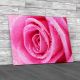 Floral Rose Flower Close Canvas Print Large Picture Wall Art