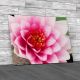 Floral Lotus Flower Canvas Print Large Picture Wall Art