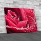 Rose Petals Water Drops Canvas Print Large Picture Wall Art