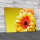 Floral Sunflower Flower Canvas Print Large Picture Wall Art