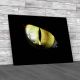 Cats Eye Close Abstract Canvas Print Large Picture Wall Art
