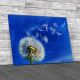 Dandelion Blowing Wind Canvas Print Large Picture Wall Art