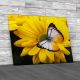 Butteryfly on Flowers Canvas Print Large Picture Wall Art