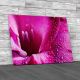 Gladiola Flower Petals Canvas Print Large Picture Wall Art