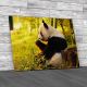 Panda Eating Bamboo Canvas Print Large Picture Wall Art