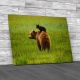 Coastal Brown Bears Canvas Print Large Picture Wall Art