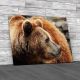 Grizzly Bear Canvas Print Large Picture Wall Art