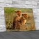 Lion Cubs Cuddling Canvas Print Large Picture Wall Art
