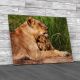 Lioness And Cubs Canvas Print Large Picture Wall Art