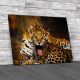 Baby Jaguar Canvas Print Large Picture Wall Art
