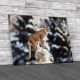 Big Cat In The Snow Canvas Print Large Picture Wall Art