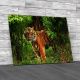 Royal Bengal Tiger Canvas Print Large Picture Wall Art