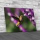 Hummingbird Hovering Canvas Print Large Picture Wall Art