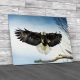 American Bald Eagle Canvas Print Large Picture Wall Art