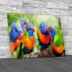 Australian Rainbow Lorikeets Canvas Print Large Picture Wall Art