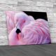 Chilean Flamingo Canvas Print Large Picture Wall Art