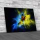 Flying Ara Parrot Canvas Print Large Picture Wall Art