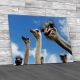 Inquisitive Ostrich Canvas Print Large Picture Wall Art